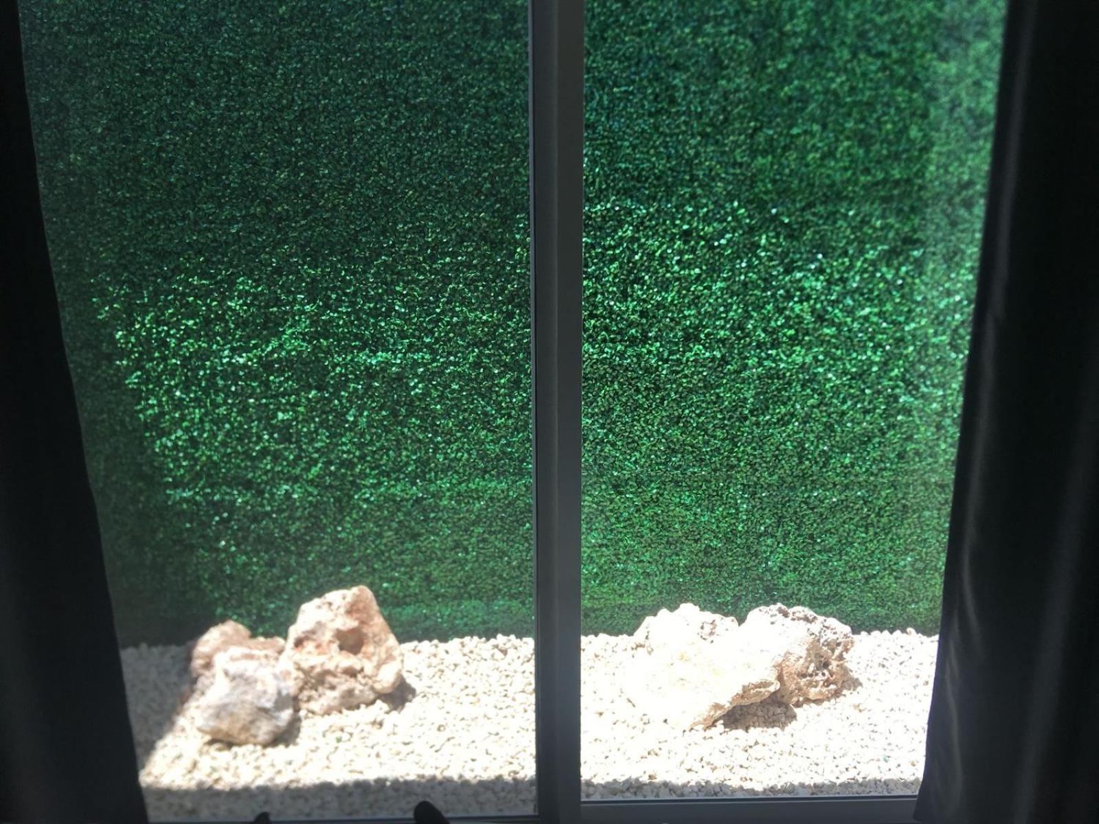 קנקון Green Lofts מראה חיצוני תמונה